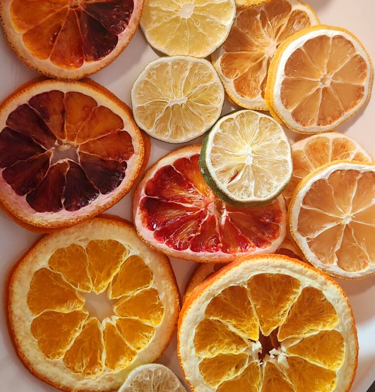 Natural Dehydrated Citrus Wheel Garnishes