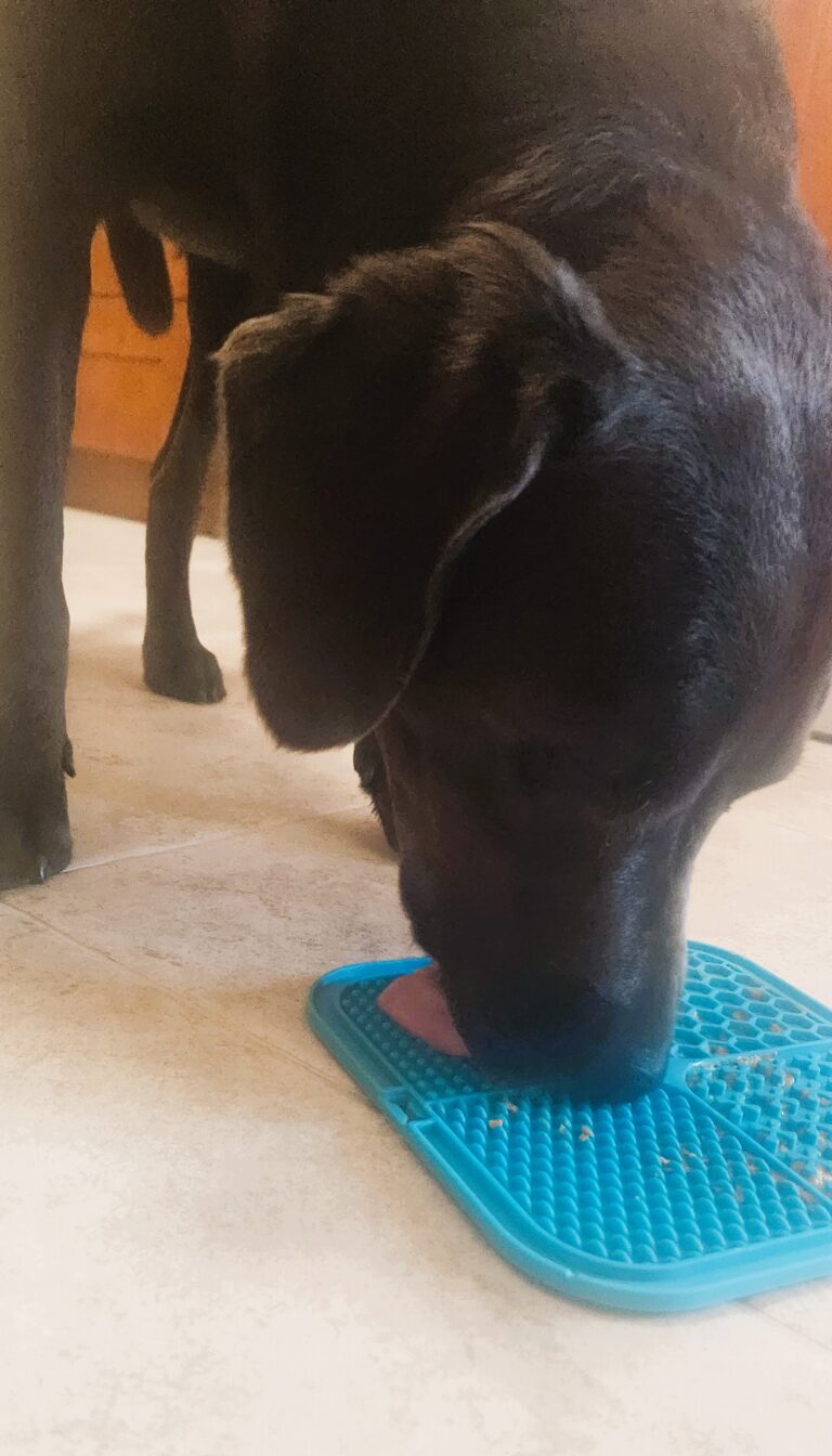 Why your pup will love a Lick Mat